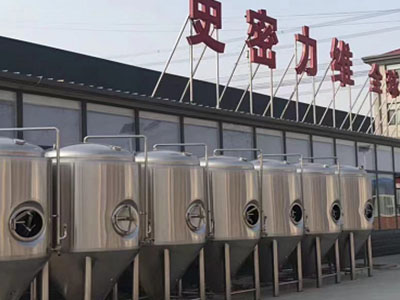 郴州精酿啤酒设备厂—市场规模与跨界新需求